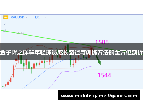 金子隆之详解年轻球员成长路径与训练方法的全方位剖析